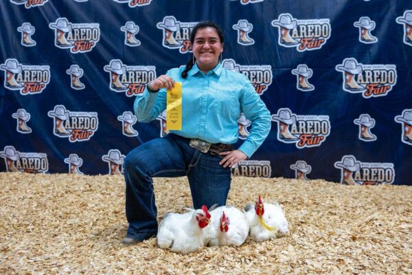 Lamb Show — photo 8