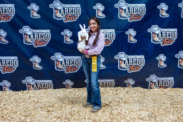 Lamb Show — photo 9