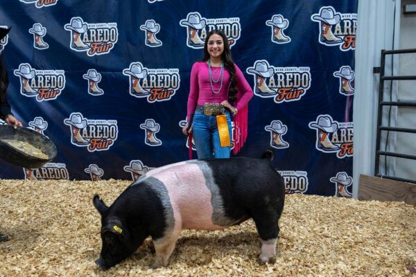 Lamb Show — photo 12