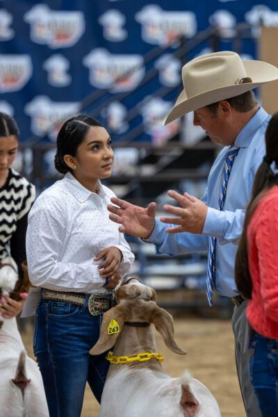Lamb Show — photo 25