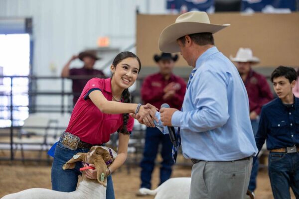 Lamb Show — photo 27