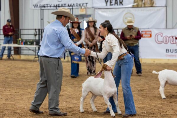 Lamb Show — photo 16