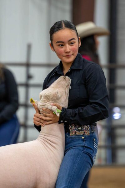 Lamb Show — photo 30