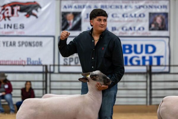 Lamb Show — photo 43