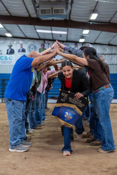 Lamb Show — photo 46