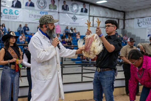 Lamb Show — photo 55