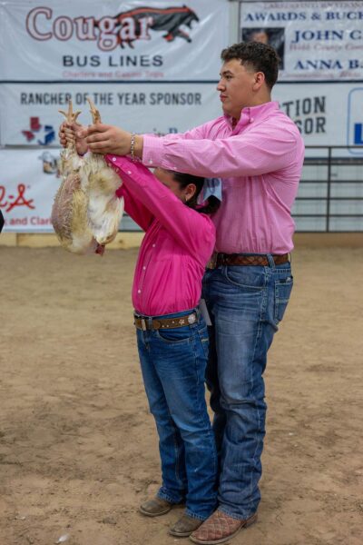 Lamb Show — photo 48