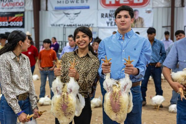 Lamb Show — photo 62