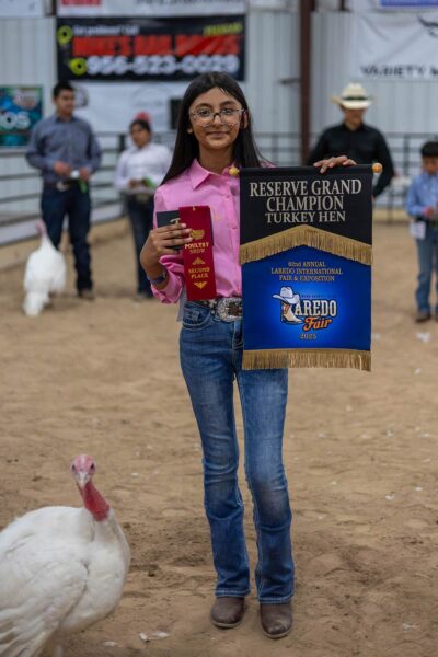 Lamb Show — photo 67
