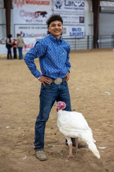 Lamb Show — photo 68