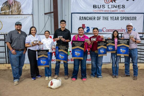 Lamb Show — photo 71