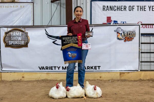 Lamb Show — photo 72