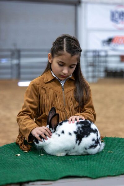 Lamb Show — photo 84