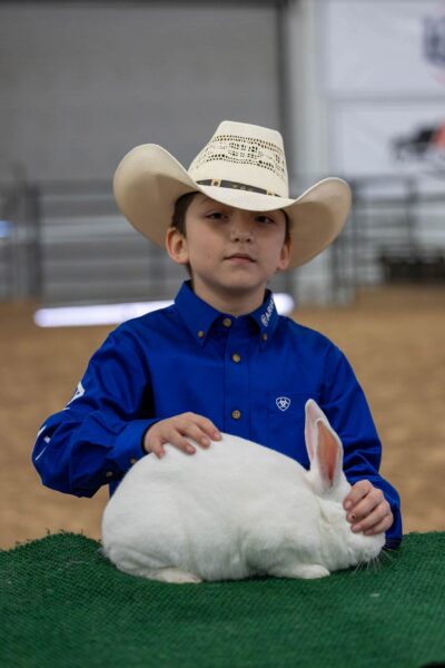 Lamb Show — photo 85