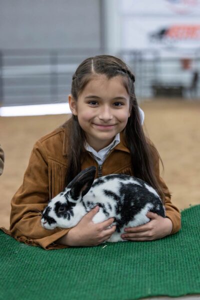Lamb Show — photo 87