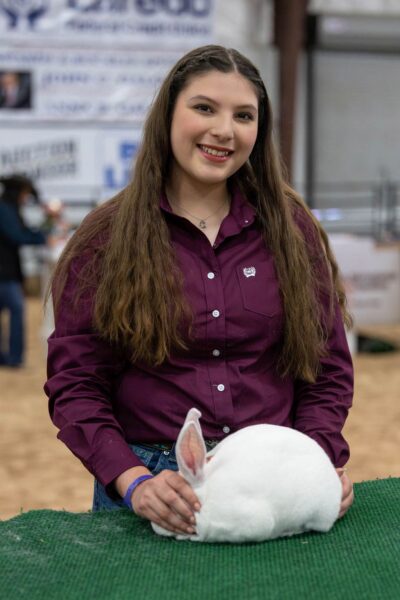 Lamb Show — photo 88