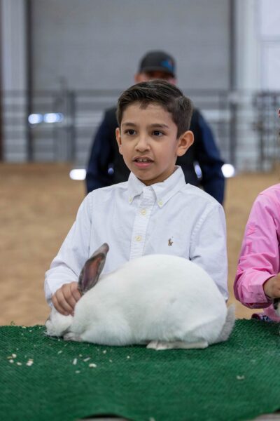 Lamb Show — photo 95