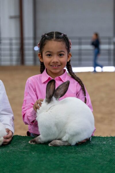 Lamb Show — photo 96