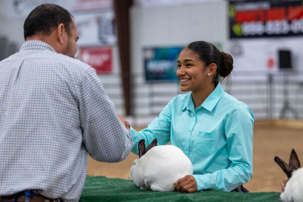 Lamb Show — photo 97