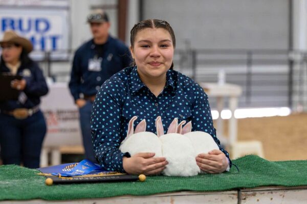 Lamb Show — photo 99