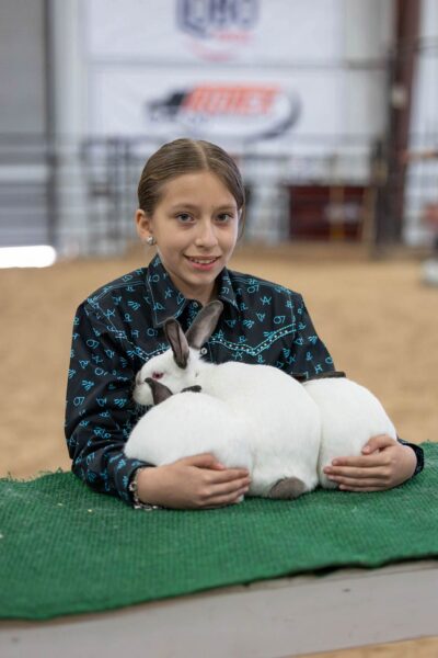 Lamb Show — photo 100