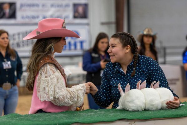 Lamb Show — photo 103