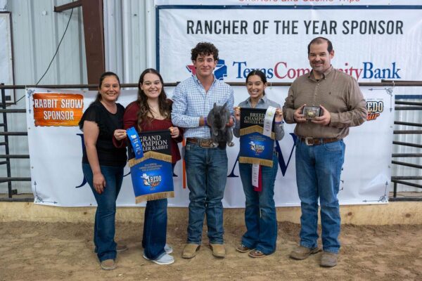 Lamb Show — photo 105