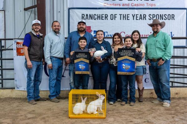 Lamb Show — photo 106