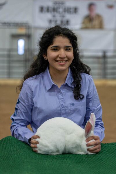 Lamb Show — photo 78