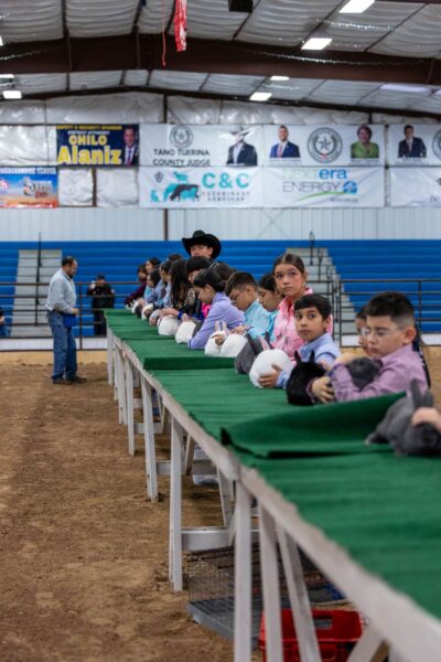 Lamb Show — photo 80