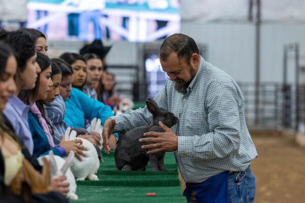 Lamb Show — photo 81