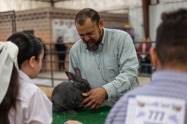 Lamb Show — photo 75