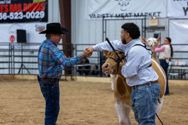 Lamb Show — photo 131