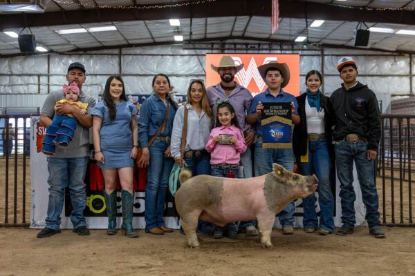 Lamb Show — photo 156