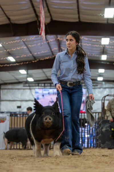 Lamb Show — photo 150