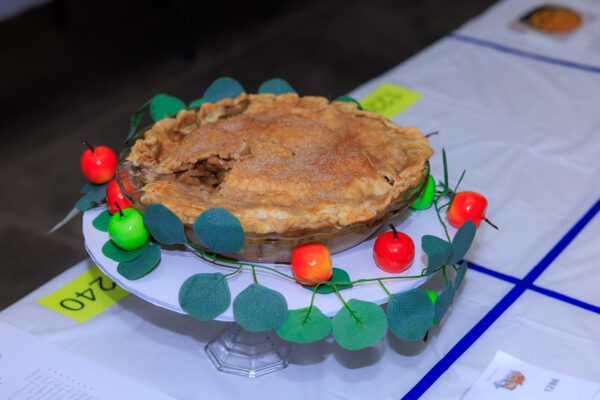Baking, Canning, & Sewing Competition — photo 4