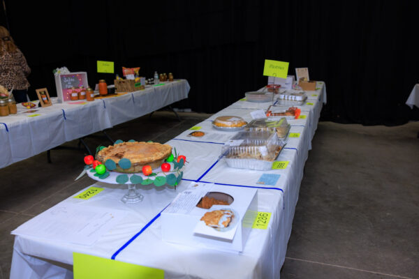 Baking, Canning, & Sewing Competition — photo 5