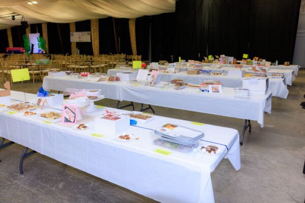 Baking, Canning, & Sewing Competition — photo 12