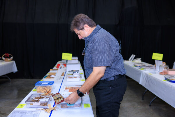 Baking, Canning, & Sewing Competition — photo 31