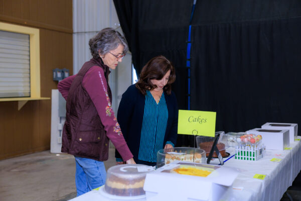 Baking, Canning, & Sewing Competition — photo 40