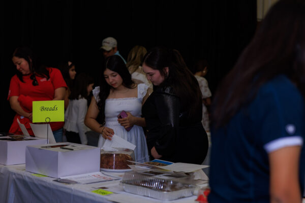 Baking, Canning, & Sewing Competition — photo 67