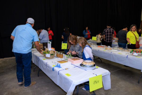Baking, Canning, & Sewing Competition — photo 72