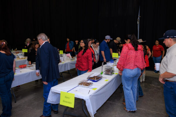 Baking, Canning, & Sewing Competition — photo 100