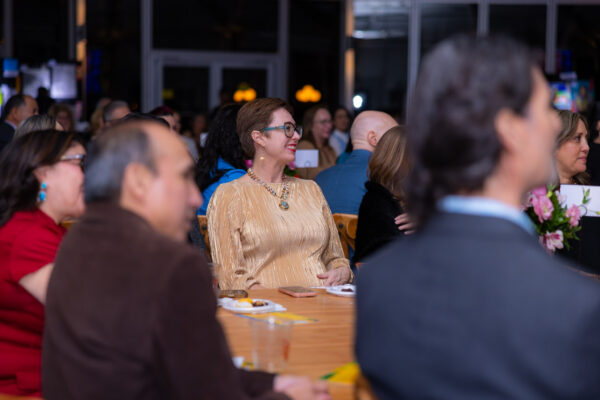 Art Advocate of the Year Gala — photo 70